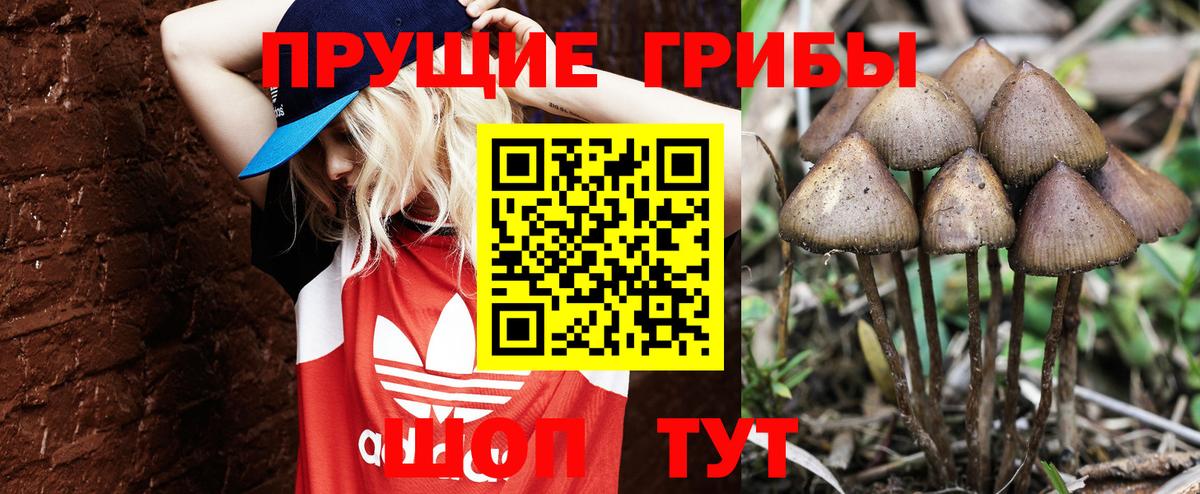 Галлюциногенные грибы Cubensis Лабытнанги